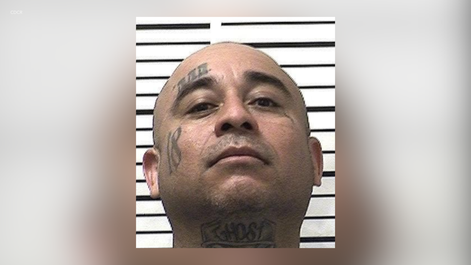 Renee A. Rodriguez, 51, is shown in this mugshot taken on May 25, 2025. (California Department of Corrections and Rehabilitation)