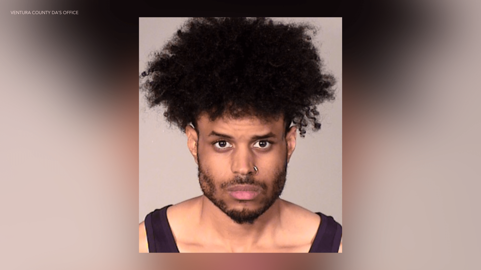 Charles Edward Gaines III, 32, of Aurora, Colorado, is shown in this undated mugshot provided by the Ventura County District Attorney's Office.