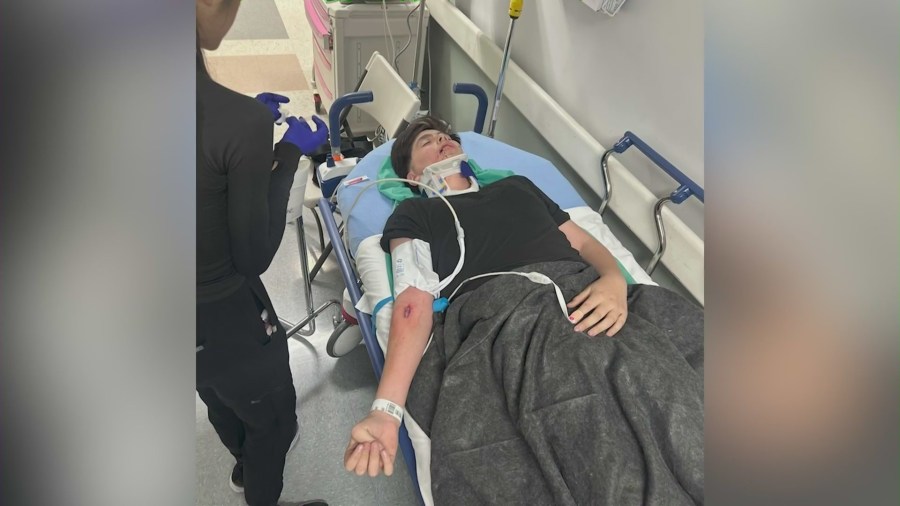 Sebastian Carillo was transported to the hospital where he received stitches and treatment for his injuries on April 7, 2025. (GoFundMe)