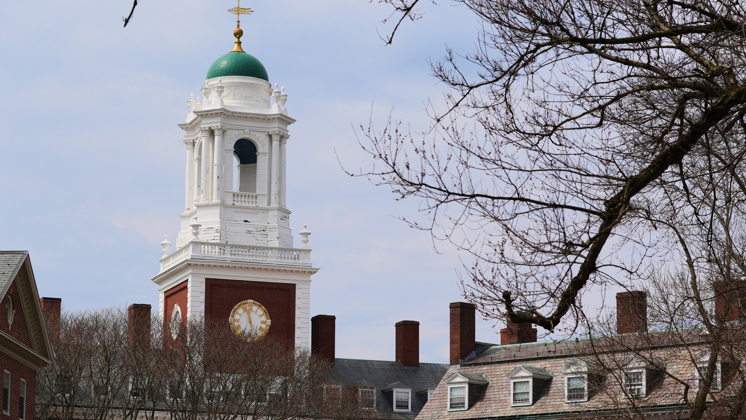 Spring buds appear on a tree near Eliot House, rear, at Harvard University, Tuesday, April 15, 2025, in Cambridge, Mass. (AP Photo/Charles Krupa)