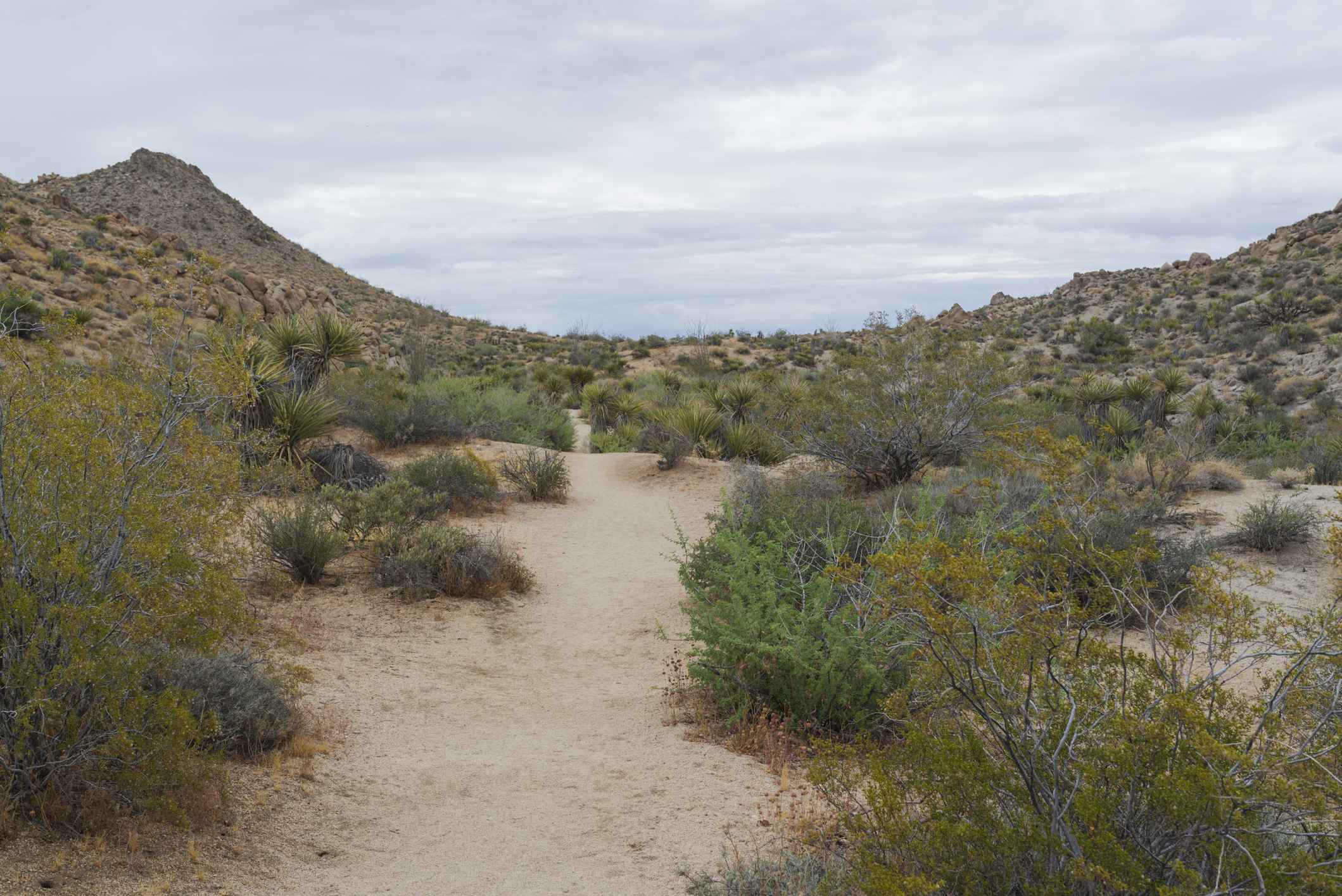 California desert highway trail