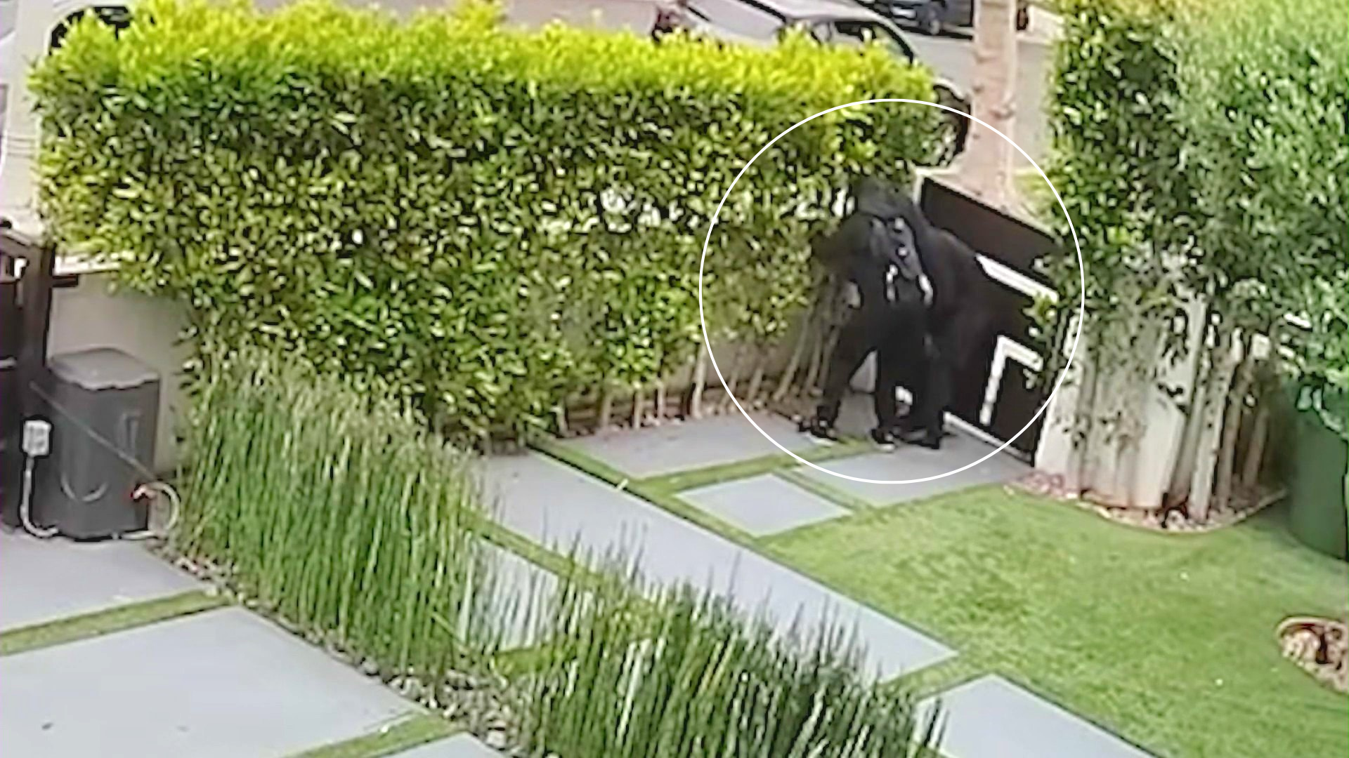 Home security cameras captured burglars breaking into a house in Hancock Park and escaping with valuables. Residents said the neighborhood has been relentlessly targeted by thieves. (KTLA)
