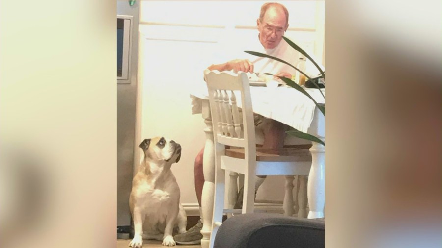 James Norman is seen in a family photo.