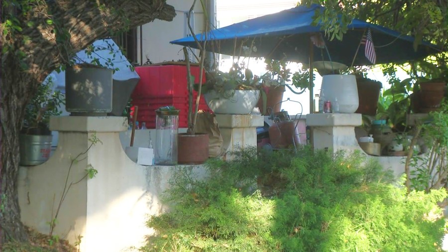 The problem property is seen obstructed by large trees, a notable amount of furniture, debris and several cars that appear inoperable. (KTLA)