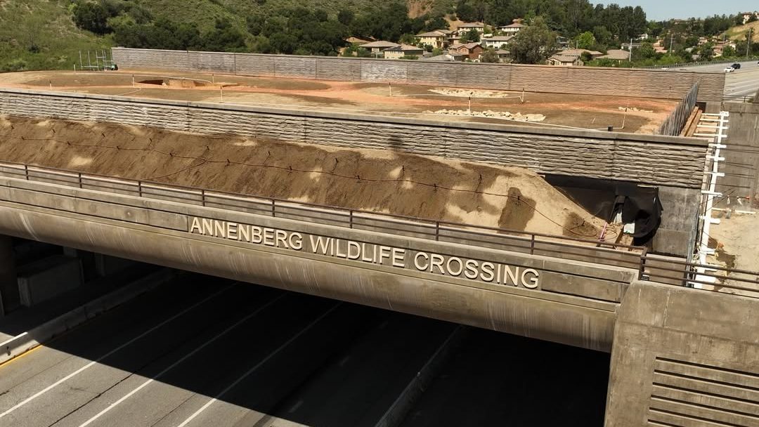 The letters for the Wallis Annenberg Wildlife Crossing have been installed at the massive public works project in Agoura Hills. (Caltrans)