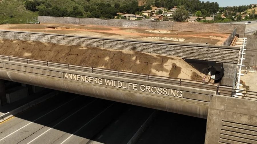 The letters for the Wallis Annenberg Wildlife Crossing have been installed at the massive public works project in Agoura Hills. (Caltrans)