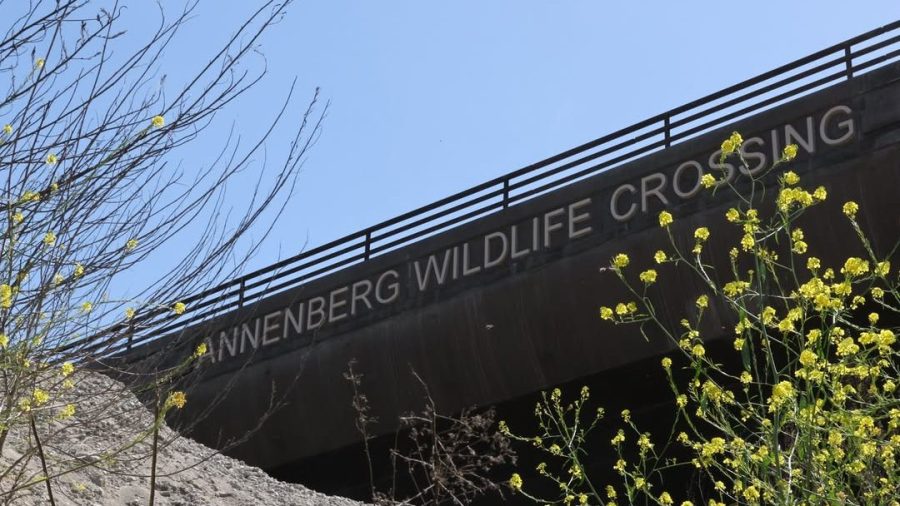 The letters for the Wallis Annenberg Wildlife Crossing have been installed at the massive public works project in Agoura Hills. (Caltrans)