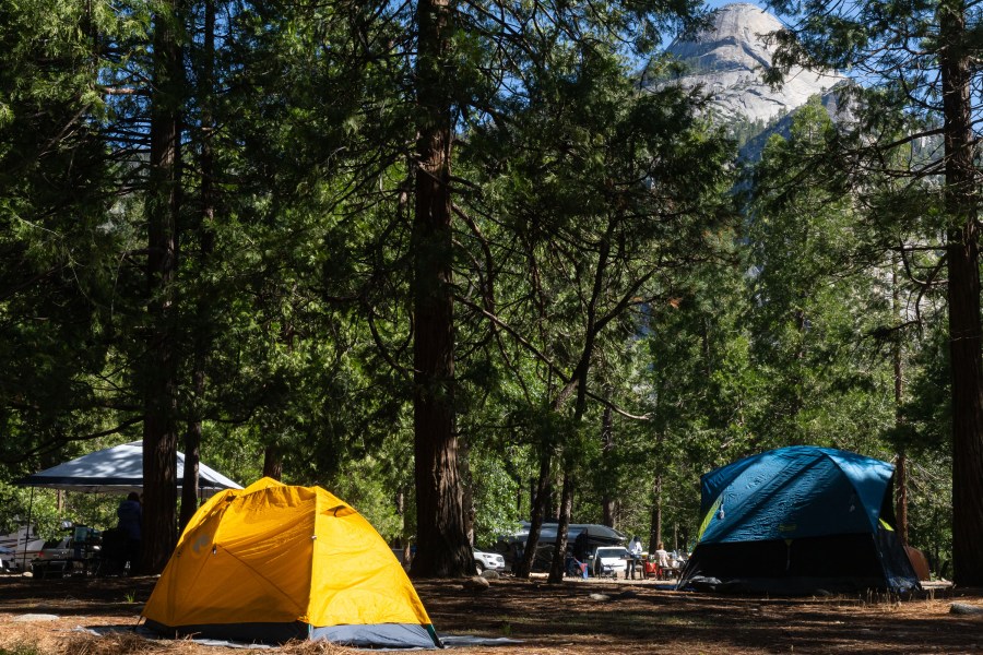 Campers at the Upper Pines Campground are surrounded by trees and granite monoliths in Yosemite National Park, California, on June 13, 2023. (Getty Images)