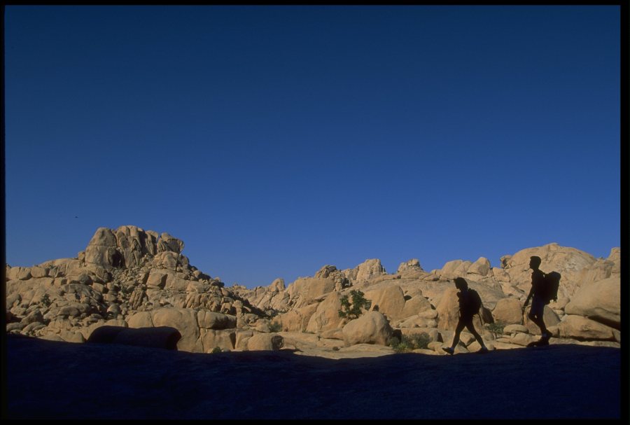A couple hikes in front of Joshua Tree National Monument at night time. (Getty Images)