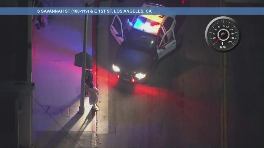 L.A. driver rampage downtown