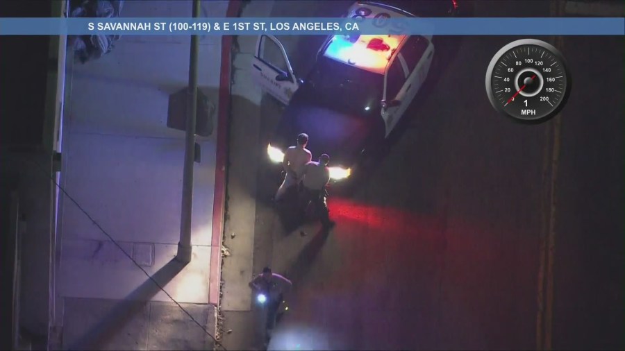 L.A. driver rampage downtown