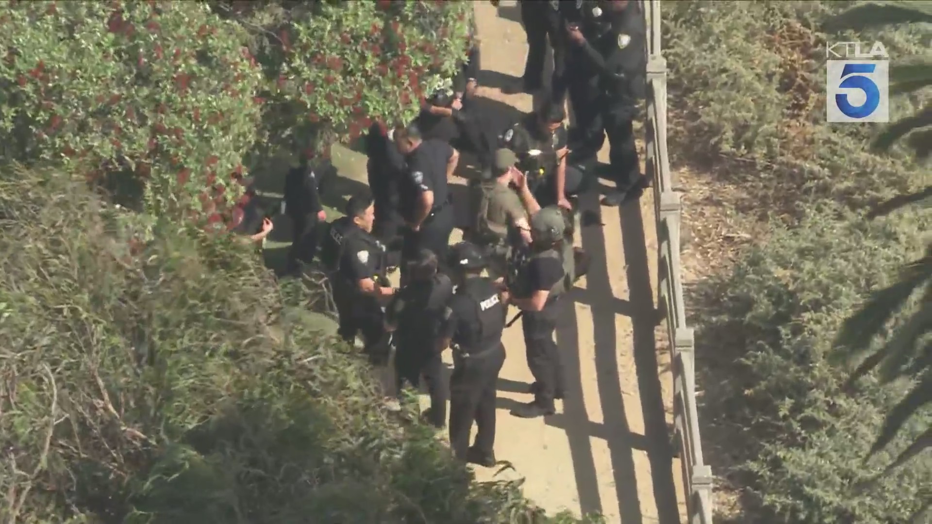 Sky5 captured the moment law enforcement officers took a person into custody in Santa Monica following a neighborhood-wide search for the suspect in two separate shootings in the city; June 25, 2025. (KTLA)