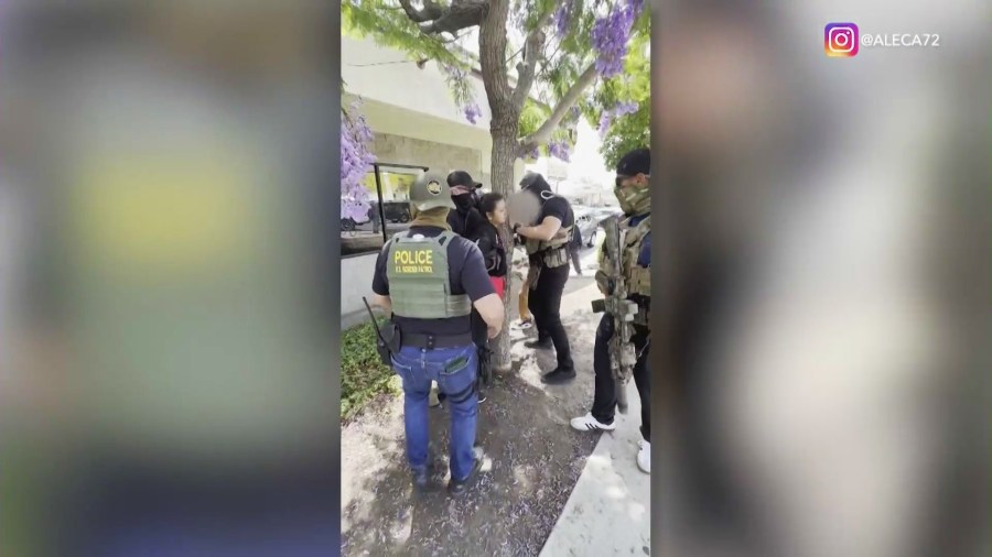A street food vendor clings onto a tree before she was detained by immigration agents in Ladera Heights on June 23, 2025. Bystanders were yelling at the agents to identify themselves.  (@aleca72)
