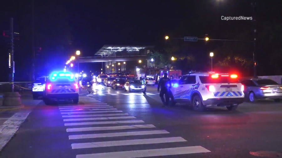 Alex Olmedo II was struck by a hit-and-run driver while he was walking a friend's dog in Chicago. (CapturedNews)