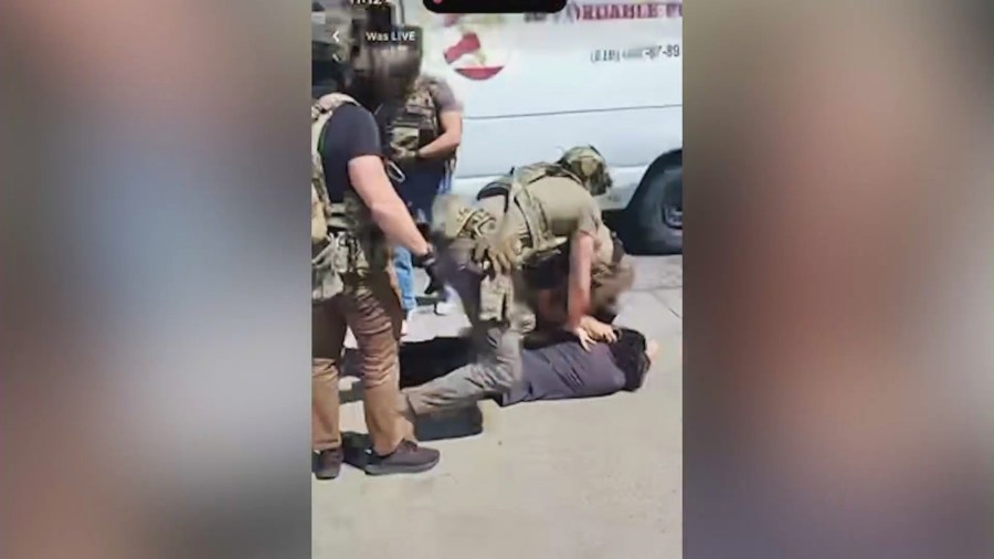 Arturo Hermosillo being forcefully removed from his van for allegedly filming a federal immigration raid at a shopping plaza in Pacoima on June 19, 2025.