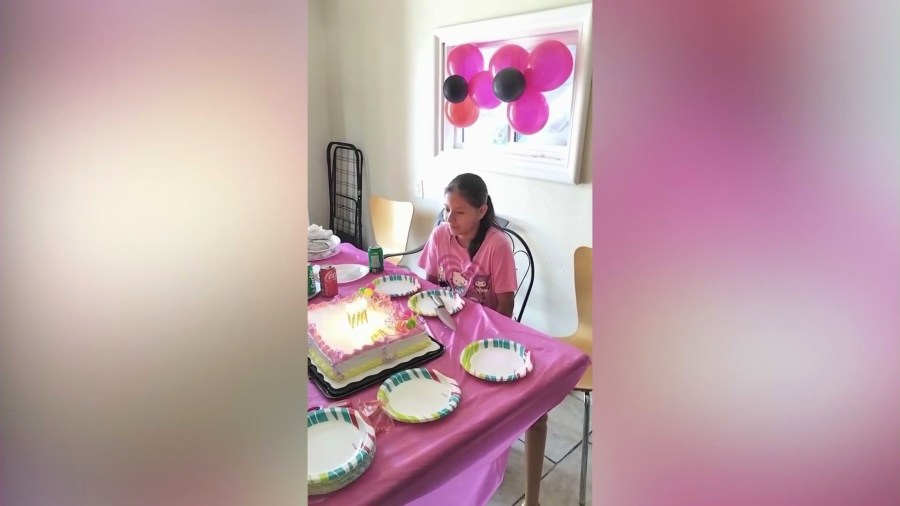 Hecotr's family had just celebrated the birthday of his youngest daughter before she was detained during a rountine immigration appointment in downtown Los Angeles.
