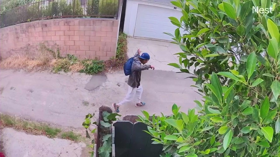 The male suspect seen roaming a Brentwood neighborhood.