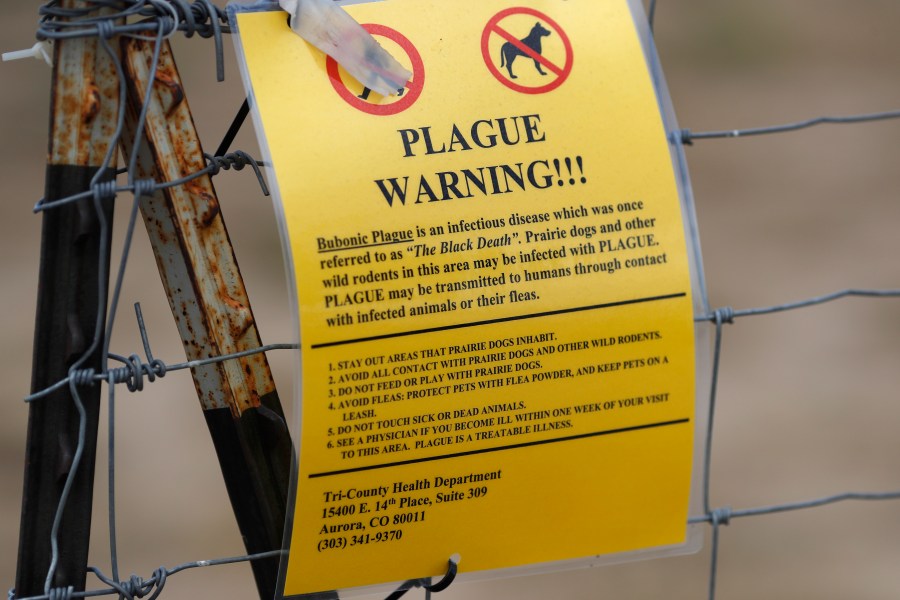 FILE - A sign warning of bubonic plague is displayed at a parking lot near the Rocky Mountain Arsenal Wildlife Refuge in Commerce City, Colo., Aug. 10, 2019. (AP Photo/David Zalubowski, File)