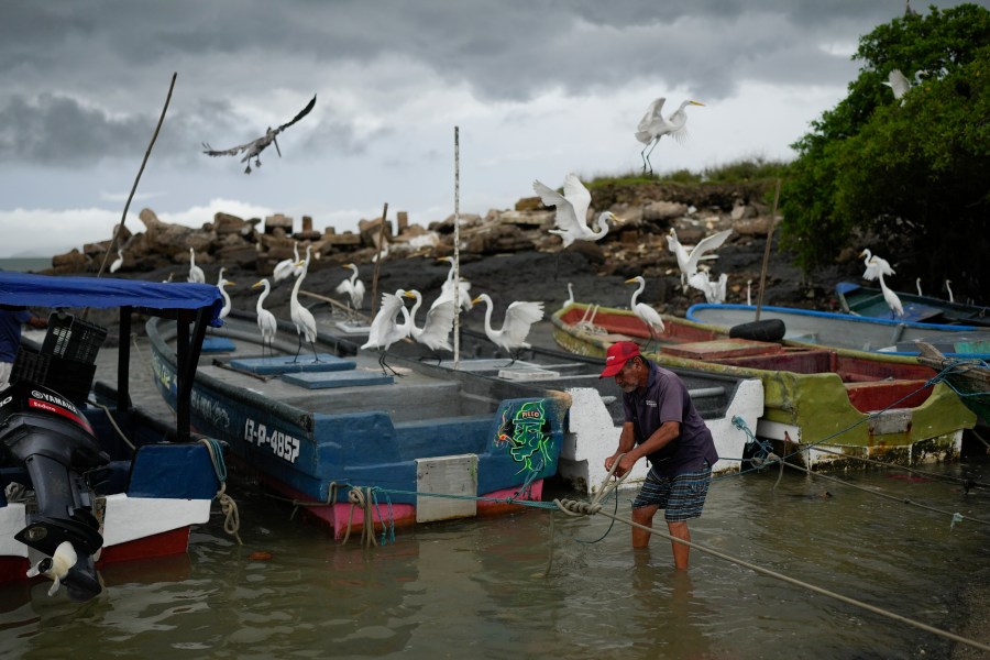 A fisherman ties his boat near the shore in Veracruz, Panama, Wednesday, July 30, 2025, as a precaution due to a tsunami warning after an earthquake struck off the coast of Russia. (AP Photo/Matias Delacroix)