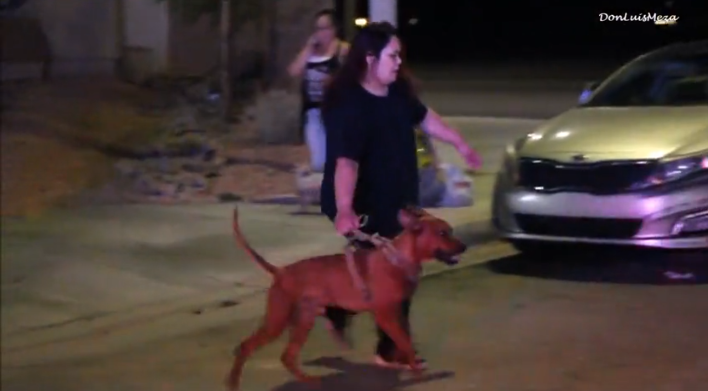 Lancaster fatal dog attack