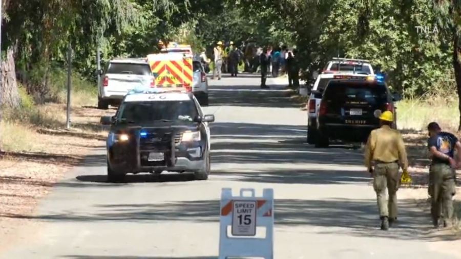 A child was killed and several other people were injured after a large tree fell at a park during a summer day camp at King Gillette Ranch in Calabasas on July 9, 2025. (TNLA)