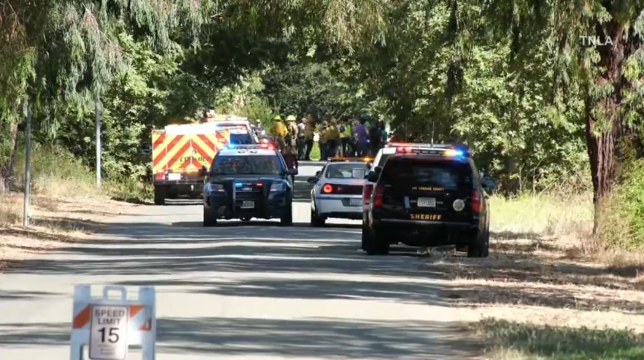 A child was killed and several other people were injured after a large tree fell at a park during a summer day camp at King Gillette Ranch in Calabasas on July 9, 2025. (TNLA)