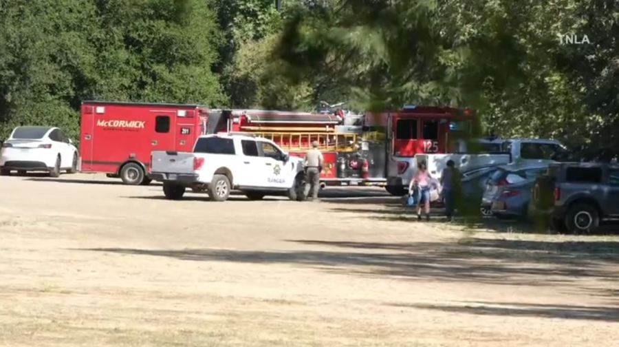 A child was killed and several other people were injured after a large tree fell at a park during a summer day camp at King Gillette Ranch in Calabasas on July 9, 2025. (TNLA)