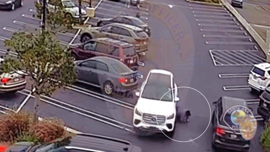 Surveillance video showed the victim trying to stop the robbery suspects from fleeing in a Mercedes GLS 450 SUV before he was run over on June 4, 2025. (Santa Ana Police Department)