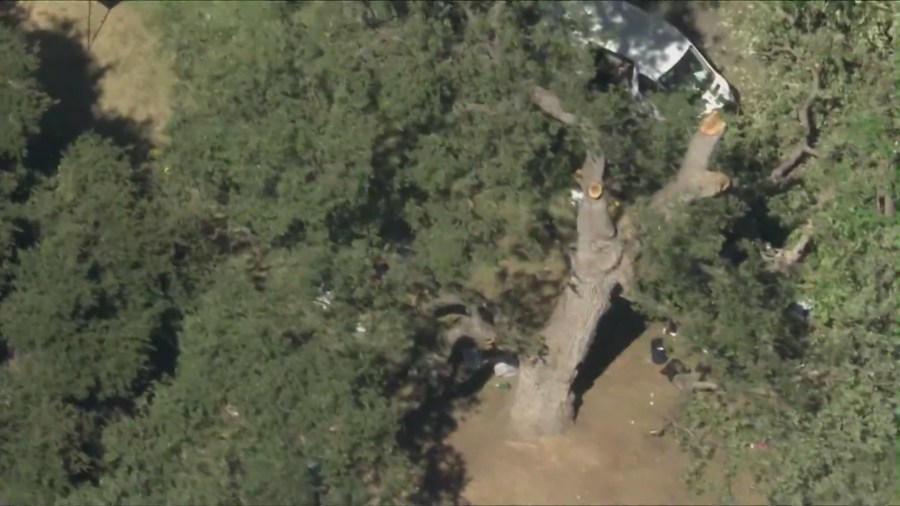A child was killed and several other people were injured after a large tree fell at a park during a summer day camp at King Gillette Ranch in Calabasas on July 9, 2025. (KTLA)