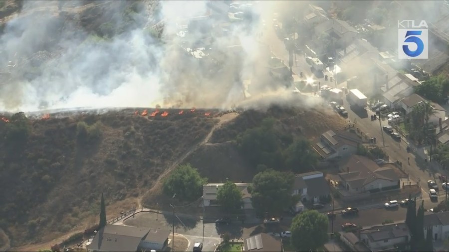 Firefighters battled a grass fire that ignited on a hillside near homes in Pacoima on July 11, 2025. (KTLA)