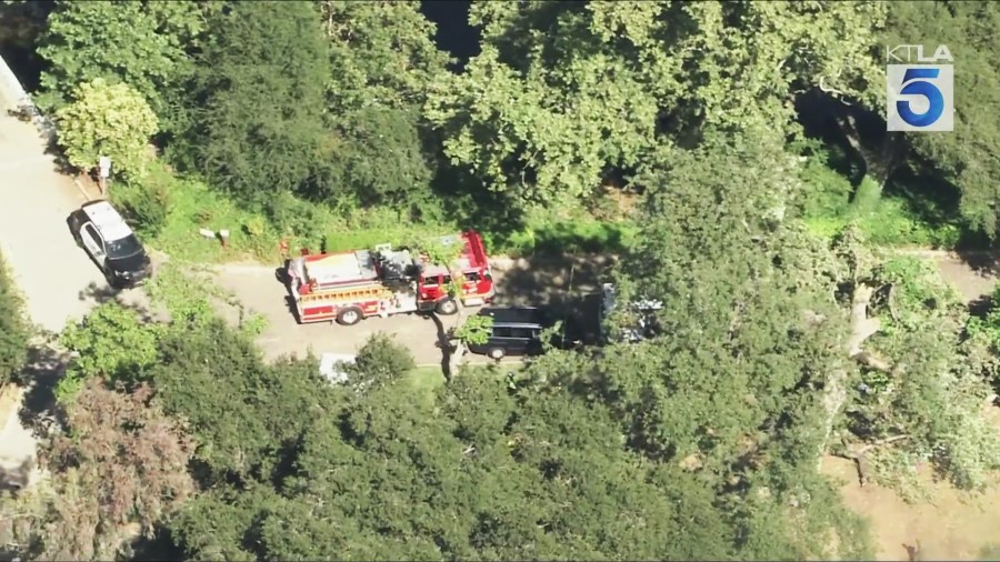 A child was killed and several other people were injured after a large tree fell at a park during a summer day camp at King Gillette Ranch in Calabasas on July 9, 2025. (KTLA)