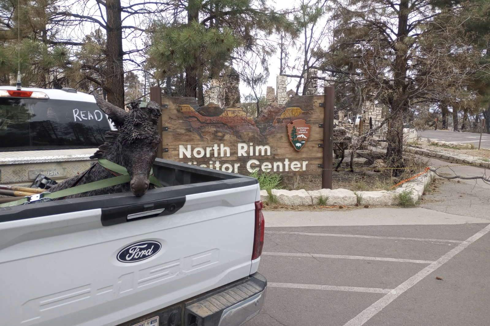 This Thursday, Aug. 14, 2025, image provided by the U.S. Forest Service shows the bronze statue of “Brighty the Burro” recovered from the Grand Canyon Lodge at the North Rim in northern Arizona. (Michael Terlep/U.S. Forest Service via AP)