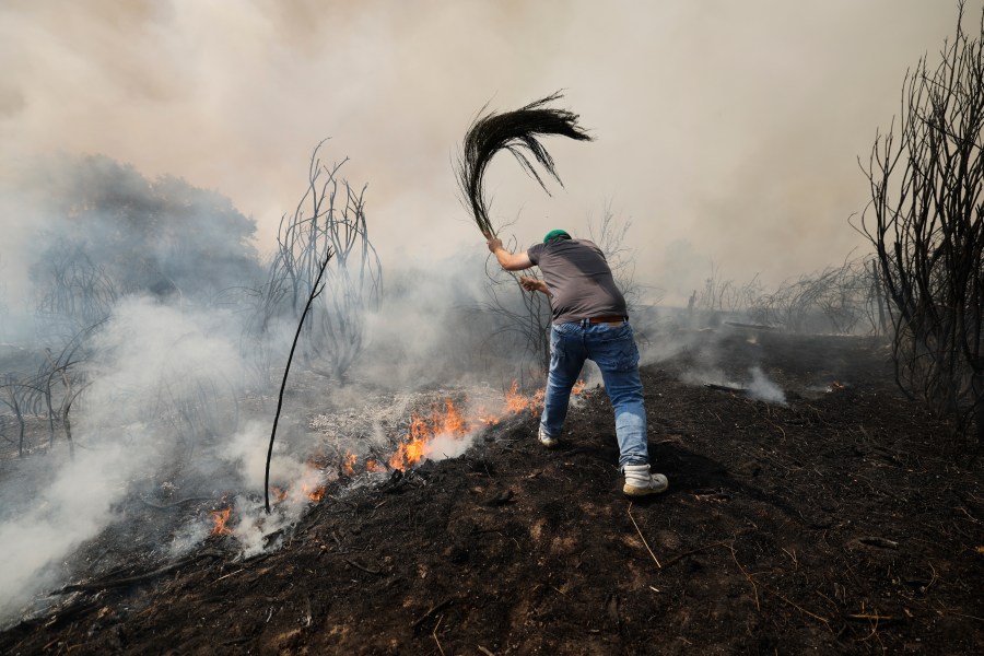 A man battles a wildfire in Veiga das Meas, northwestern Spain, Saturday, Aug. 16, 2025. (AP Photo/Lalo R. Villar)