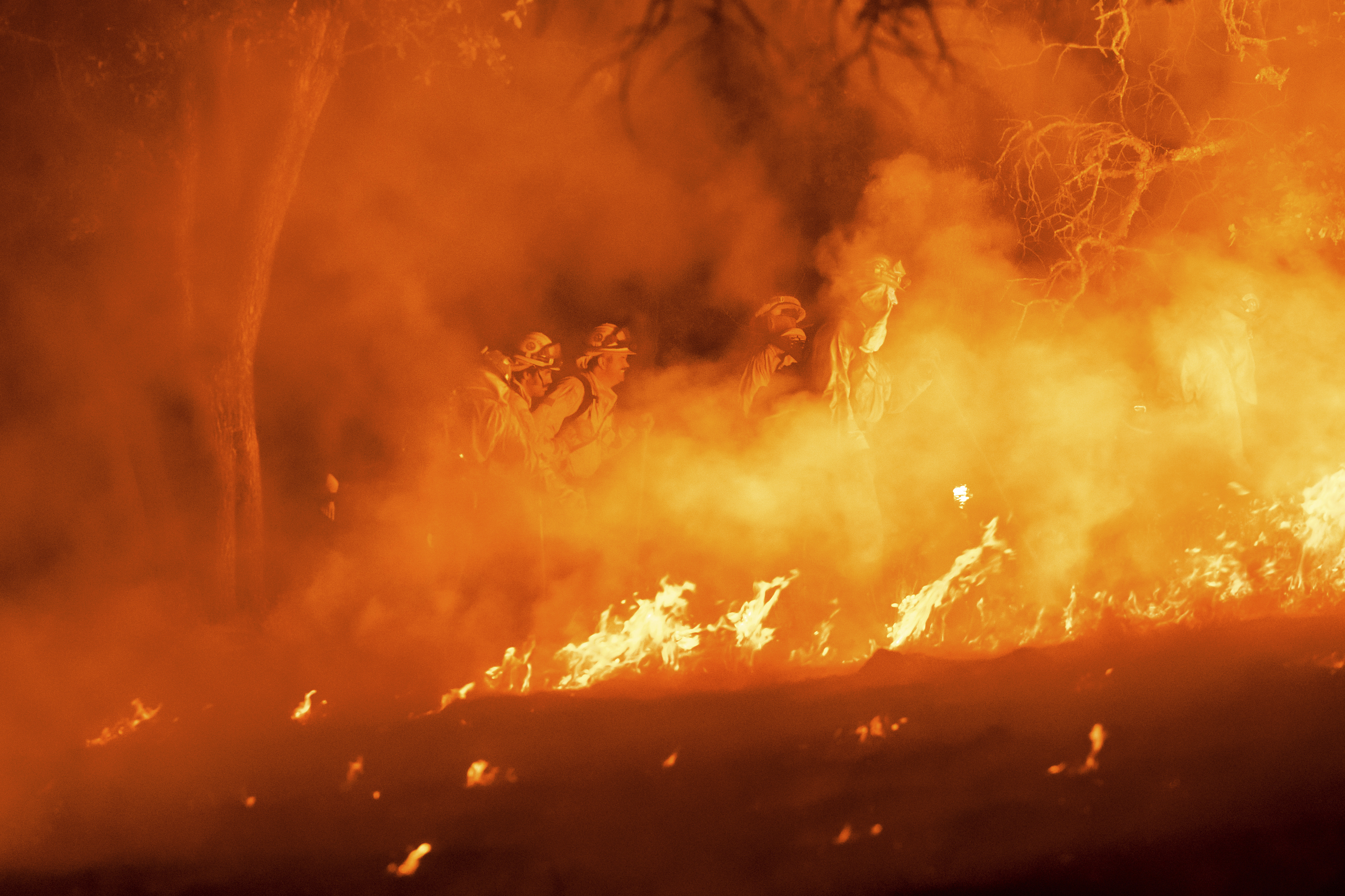 Firefighters battle the Pickett Fire burning in the Aetna Springs area of Napa County, Calif., on Saturday, Aug. 23, 2025. (AP Photo/Noah Berger)