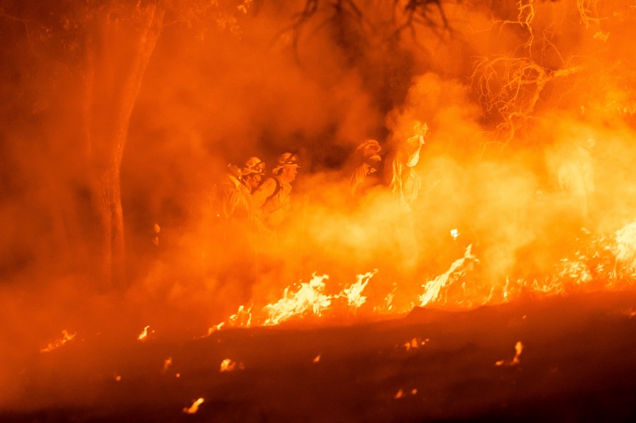 Firefighters battle the Pickett Fire burning in the Aetna Springs area of Napa County, Calif., on Saturday, Aug. 23, 2025. (AP Photo/Noah Berger)