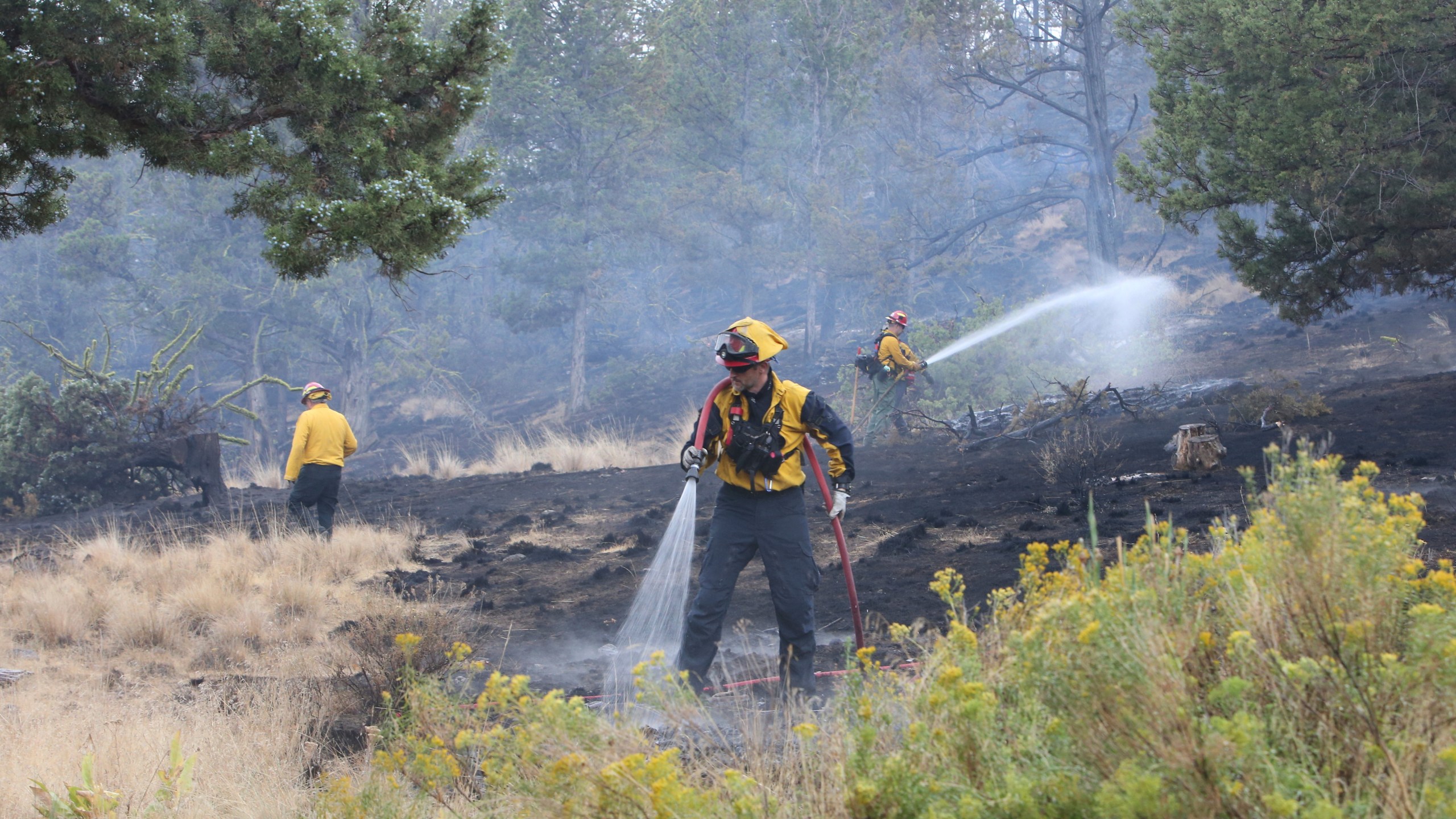 Western Lane and Eugene Springfield Fire Department crews work together on a mop up operation near structures on Geneva Way, during the Flat Fire, near Sisters, in Deschutes County, Ore., Monday Aug. 25, 2025. (Andy Tullis/The Bulletin via AP)