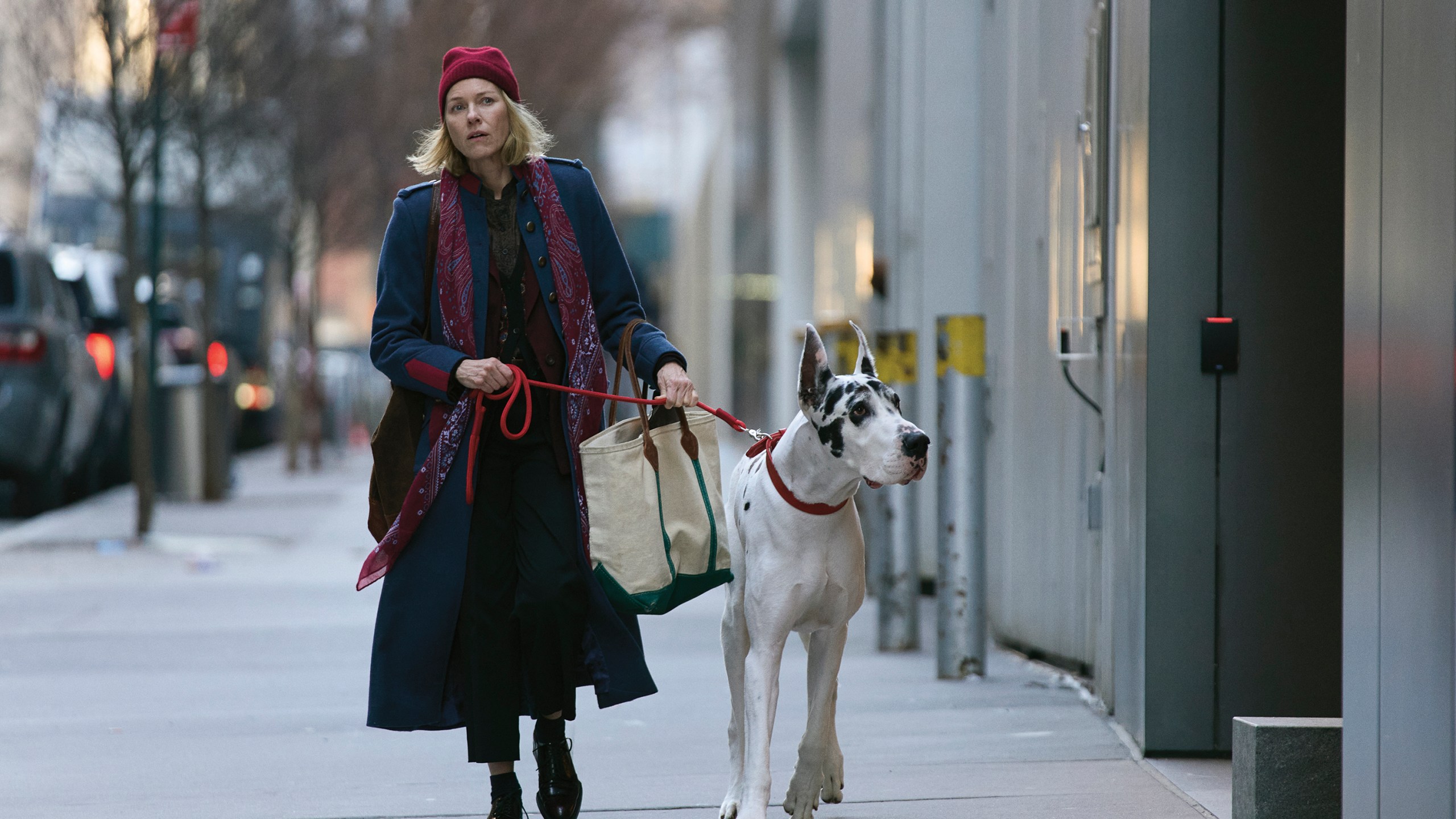 This image released by Bleecker Street shows Naomi Watts in a scene from "The Friend." (Matt Infante/Bleecker Street via AP)