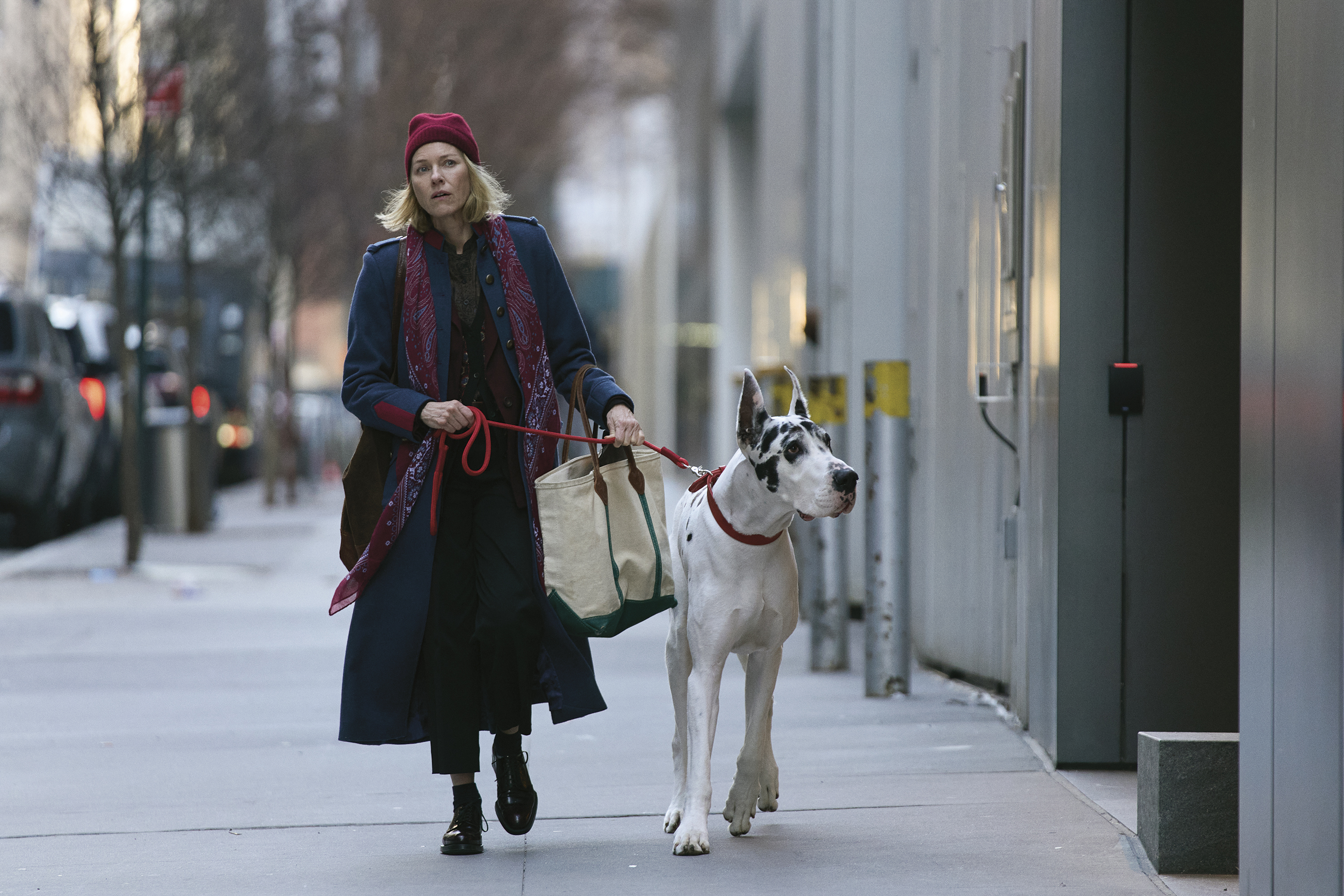 This image released by Bleecker Street shows Naomi Watts in a scene from "The Friend." (Matt Infante/Bleecker Street via AP)
