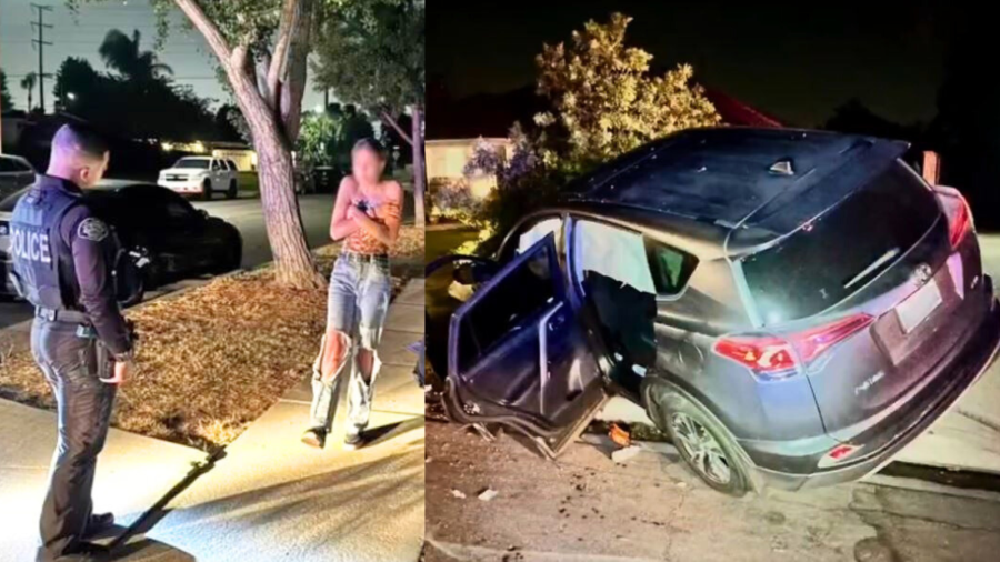 A woman was arrested for suspected DUI after she crashed into a large tree outside a home in an Upland neighborhood on Aug,. 13, 2025. (Upland Police Department)