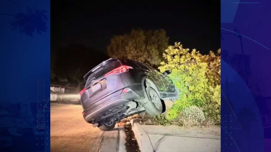 A woman was arrested for suspected DUI after she crashed into a large tree outside a home in an Upland neighborhood on Aug,. 13, 2025. (Upland Police Department)