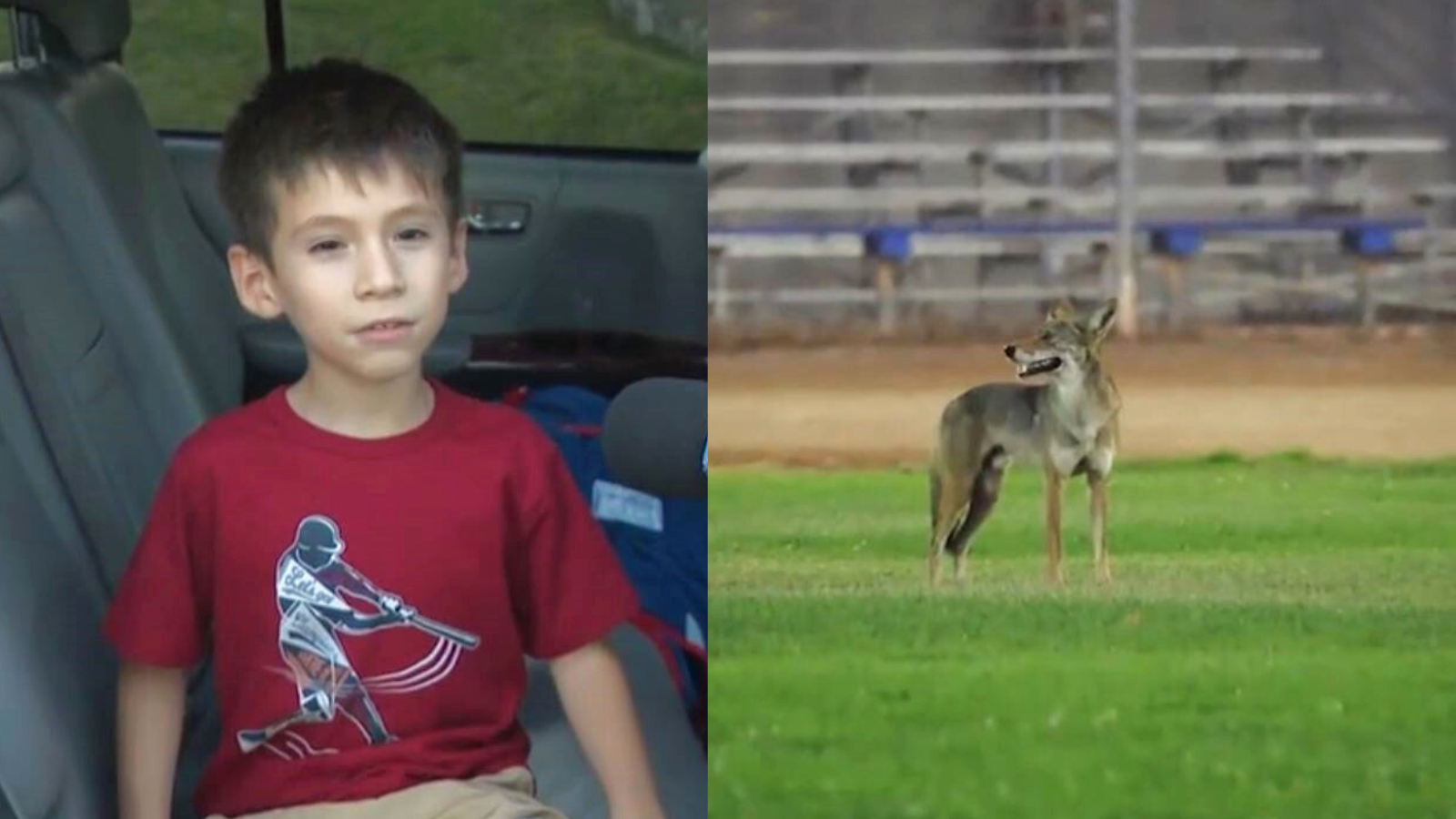Enoch Palomar, 6, was attacked by a coyote at Del Amo Park in Carson as his family was watching his sister's softball game on Aug. 4, 2025. (KTLA/@planelord)