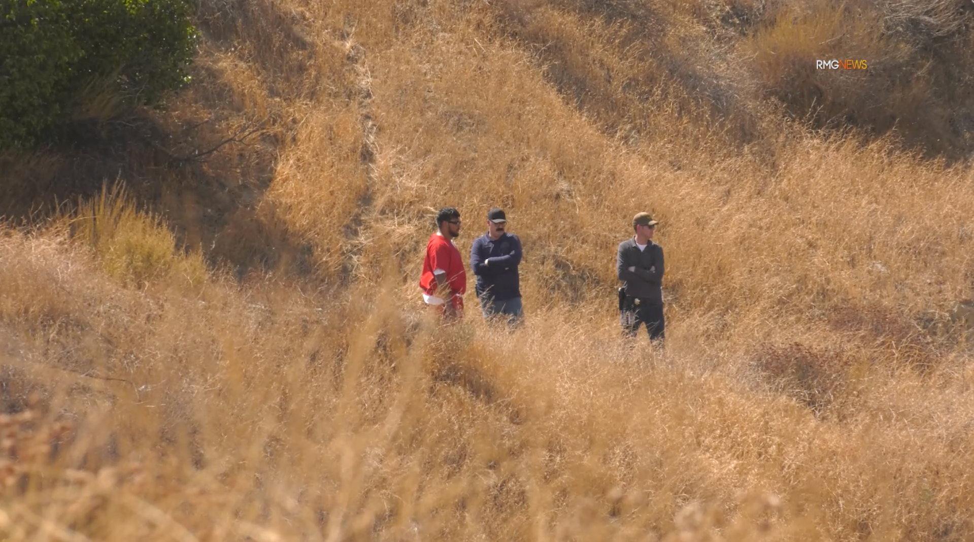 Emmanuel Haro search