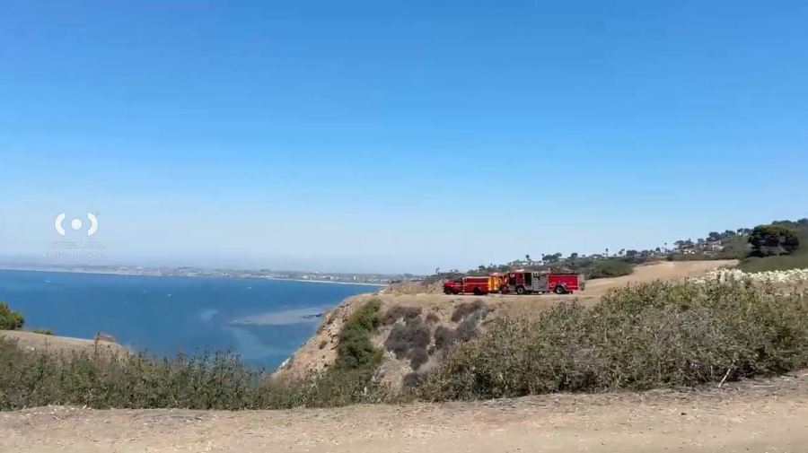 Authorities are investigating after a body was found at the bottom of a cliff in Palos Verdes Estates on Aug. 30, 2025. (Citizen)
