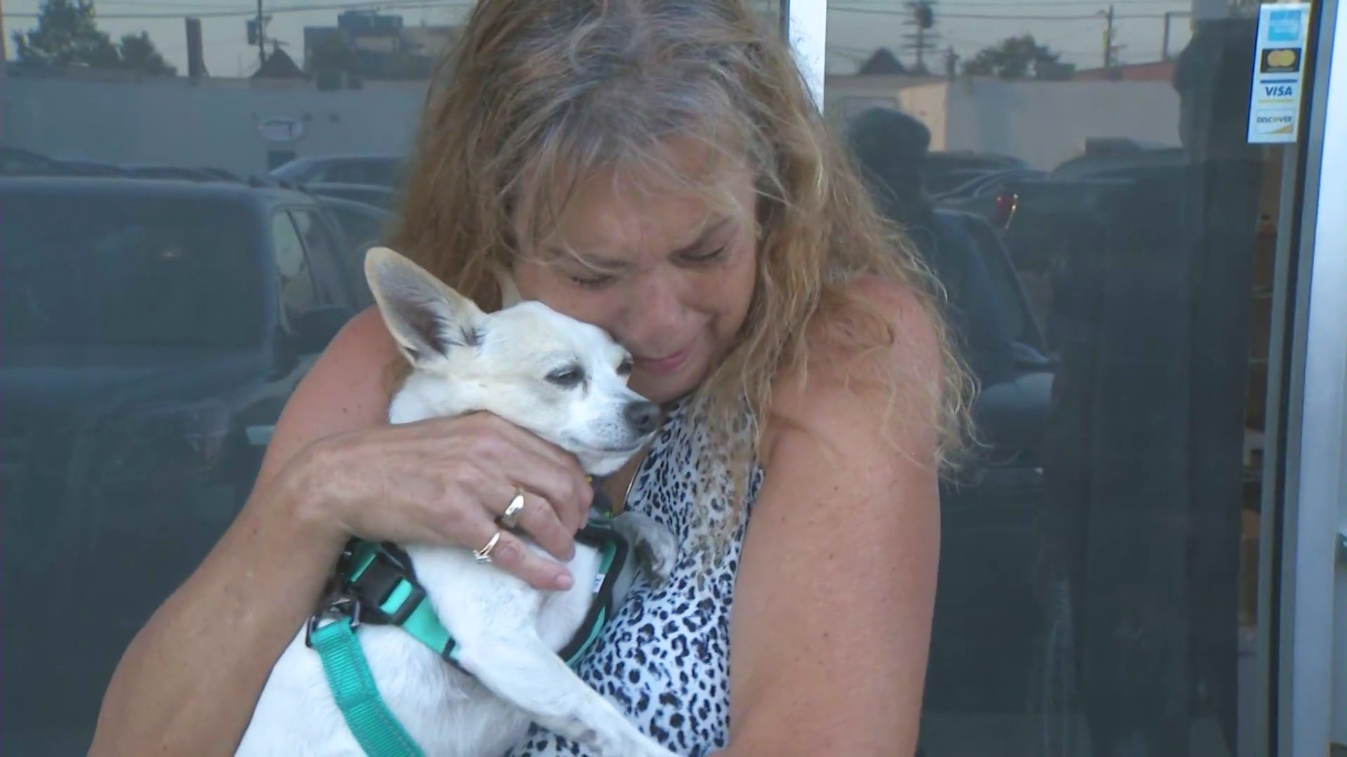 Rhonda Beltran was reunited with her late brother's dog, Dinky, on Aug. 6, 2025, after he was stolen by a con artist and was missing for four months. (KTLA)