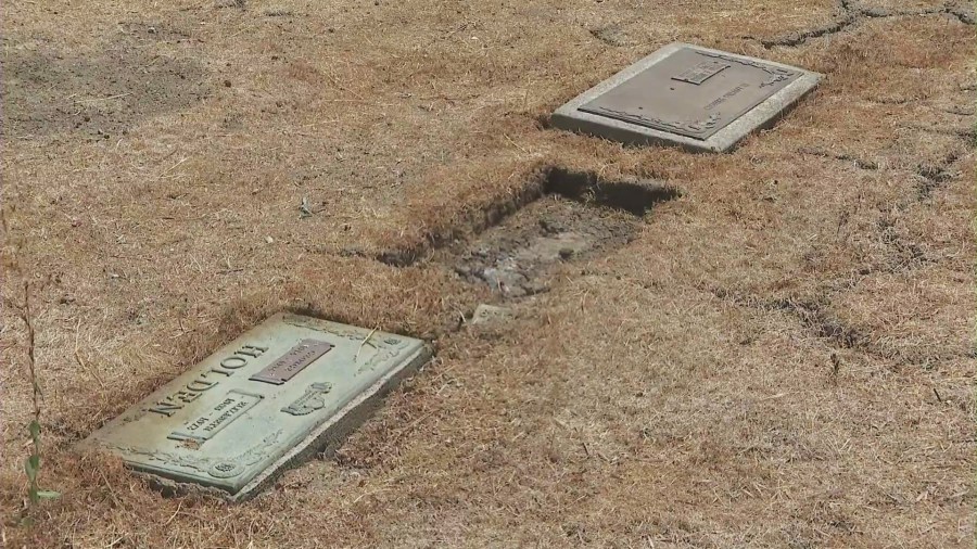 Empty spots where gravestones were stolen by thieves at Woodlawn Cemetery in Compton. (KTLA)