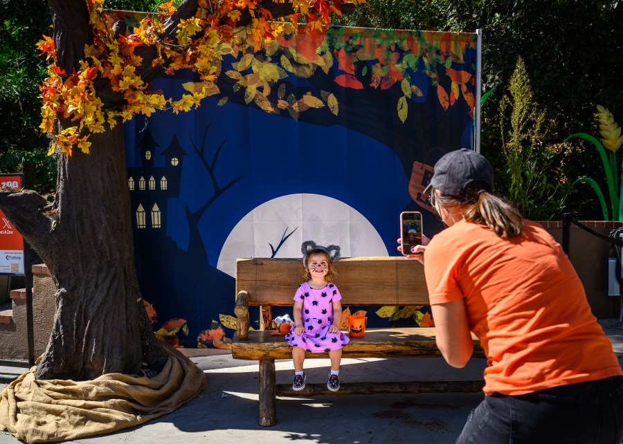 Boo at the L.A. Zoo guests enjoying event. (Jamie Pham/L.A. Zoo)
