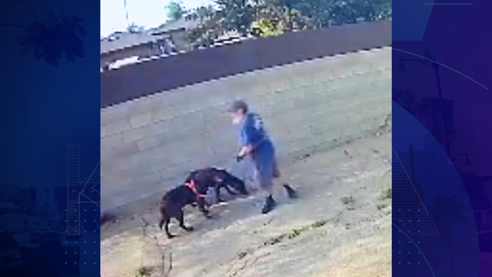 Surveillance video captured the male suspect striking the two dogs that he was walking near Abbott Road and Dorothy Avenue in South Gate. (South Gate Police Department)