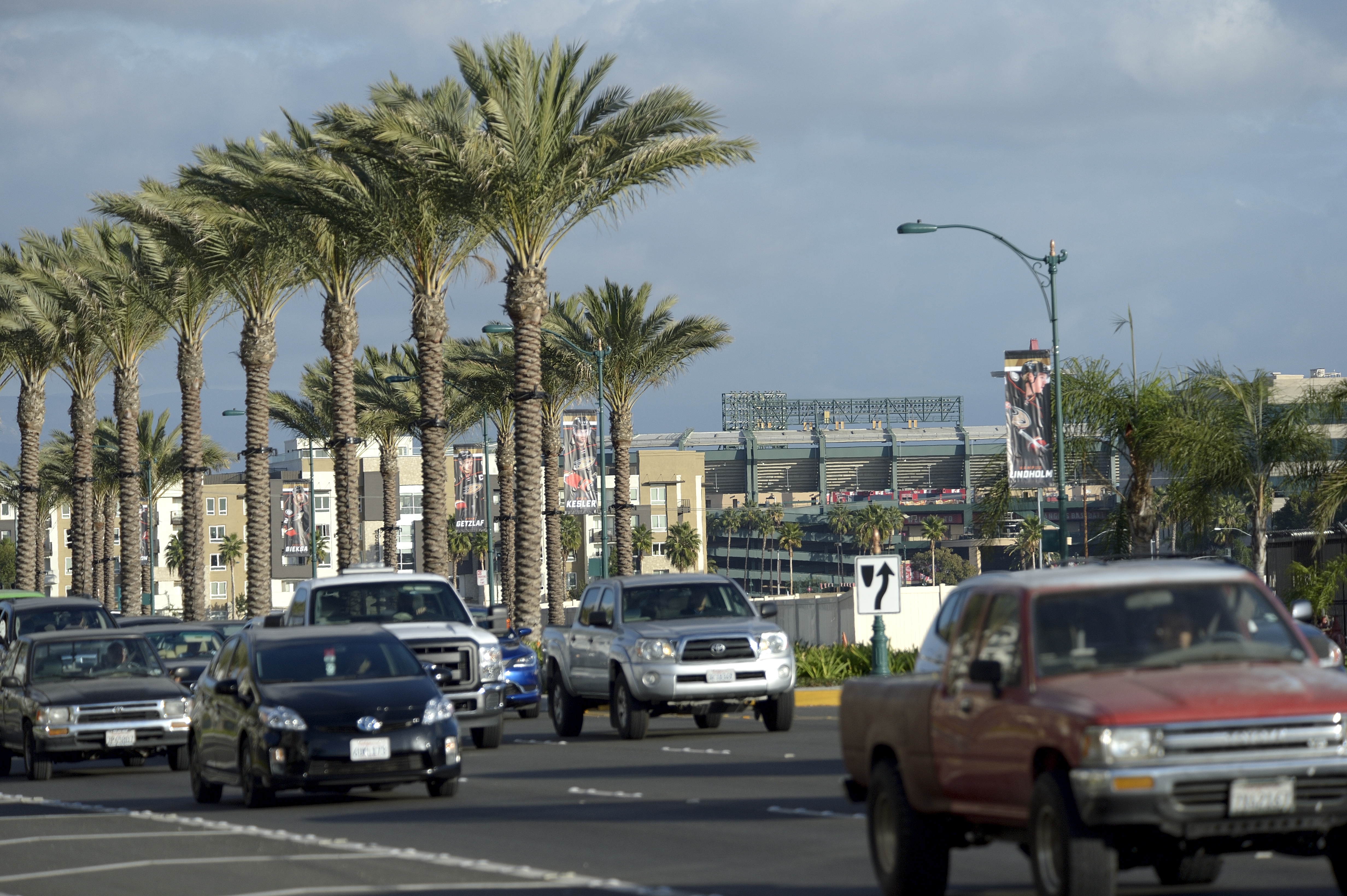 Palm Trees line Katella Avenue looking east toward Angel Stadium in Anaheim Dec. 4, 2015. (Getty Images)