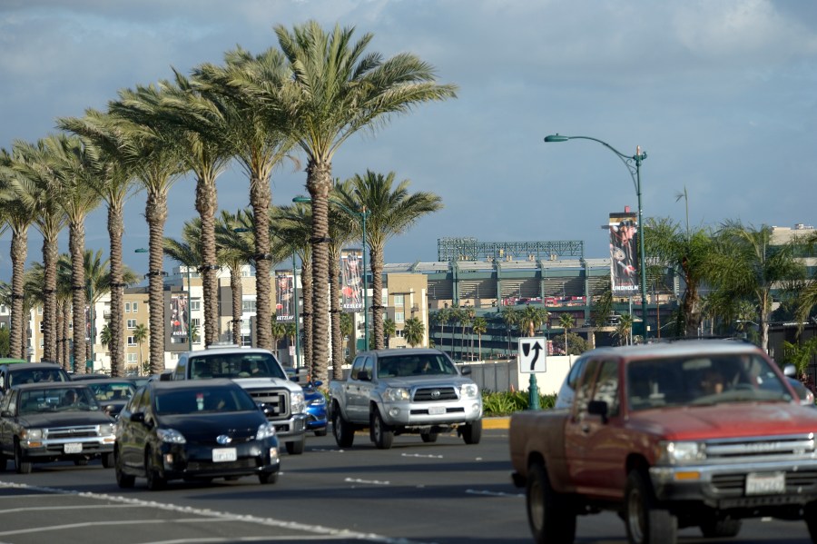 Palm Trees line Katella Avenue looking east toward Angel Stadium in Anaheim Dec. 4, 2015. (Getty Images)