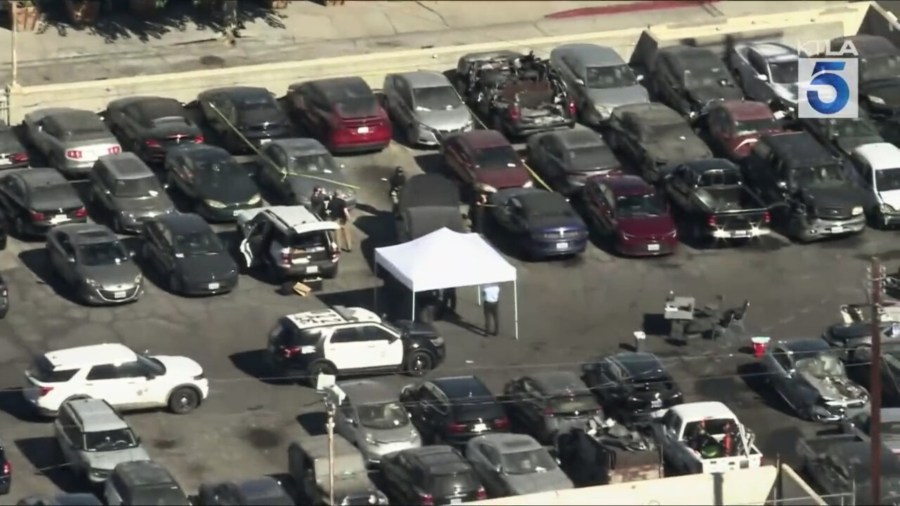 Hollywood human remains